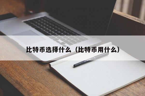比特币选择什么(比特币用什么)