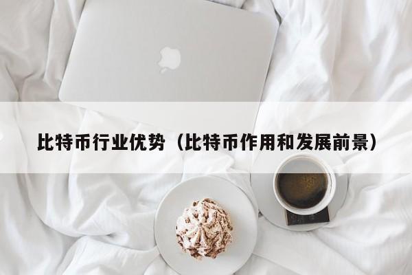 比特币行业优势(比特币作用和发展前景)