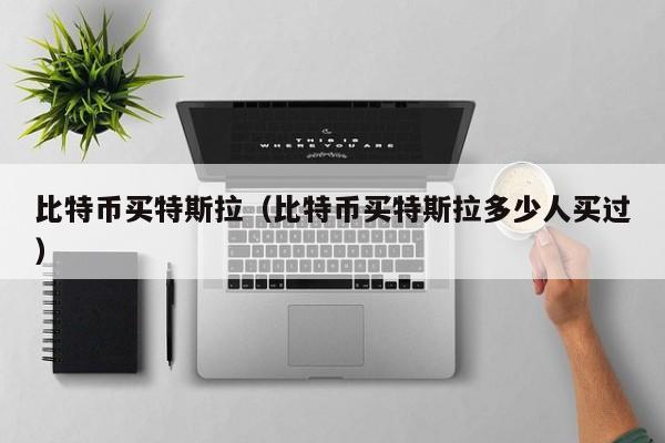 比特币买特斯拉(比特币买特斯拉多少人买过)