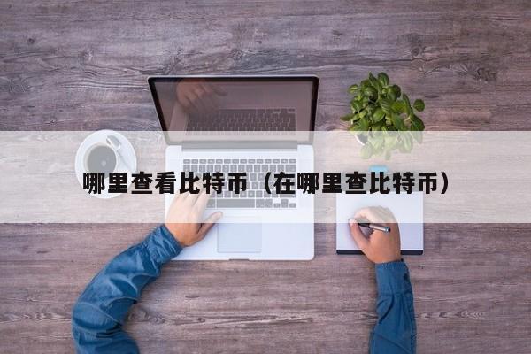 哪里查看比特币(在哪里查比特币)