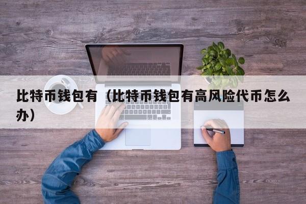 比特币钱包有(比特币钱包有高风险代币怎么办)