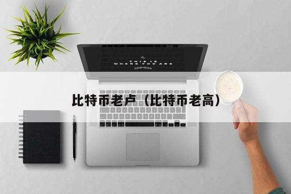 比特币老卢(比特币老高)