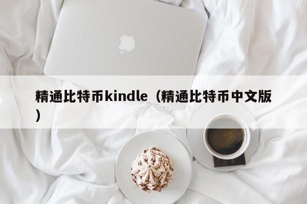 精通比特币kindle(精通比特币中文版)