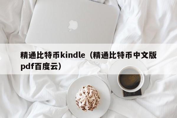 精通比特币kindle(精通比特币中文版pdf百度云)