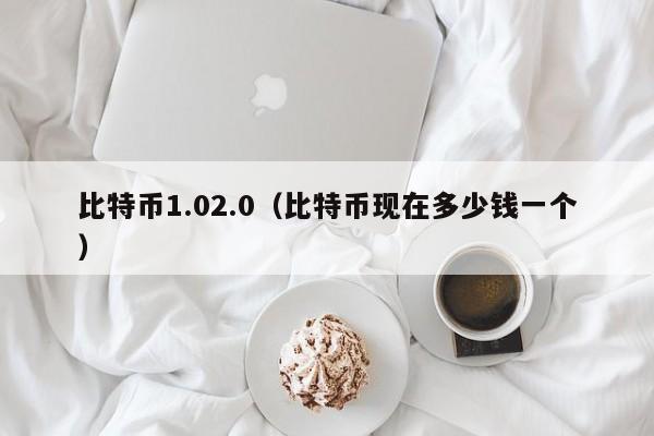 比特币1.02.0(比特币现在多少钱一个)