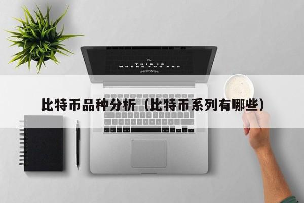 比特币品种分析(比特币系列有哪些)
