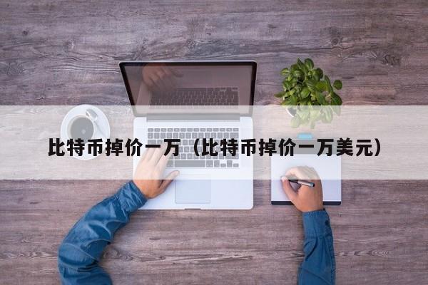 比特币掉价一万(比特币掉价一万美元)