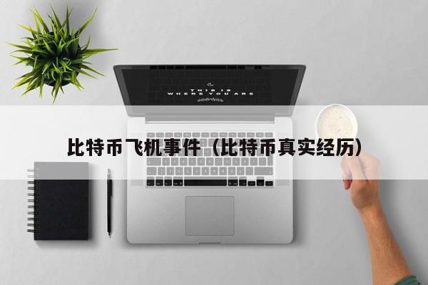 比特币飞机事件(比特币真实经历)