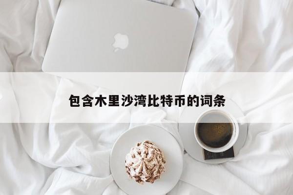 包含木里沙湾比特币的词条