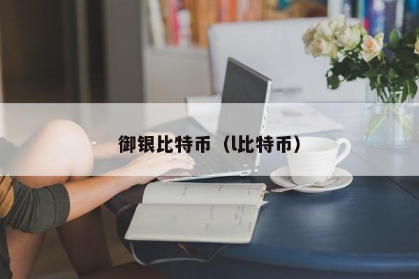 御银比特币(l比特币)