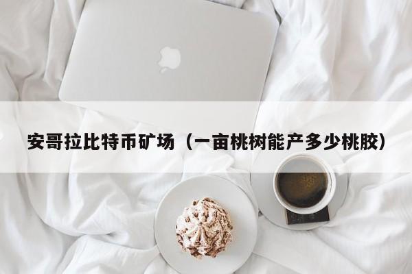 安哥拉比特币矿场(一亩桃树能产多少桃胶)