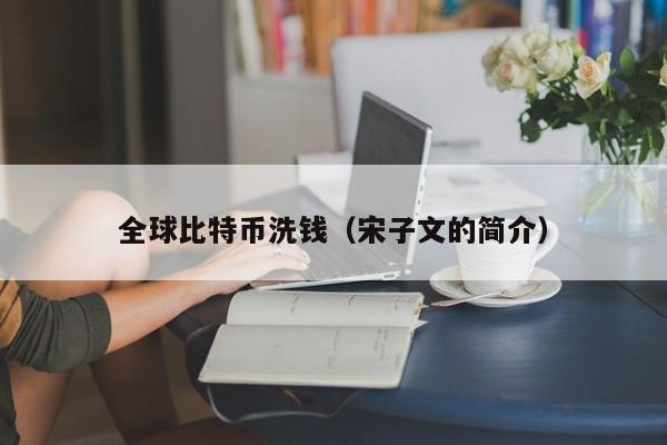 全球比特币洗钱(宋子文的简介)