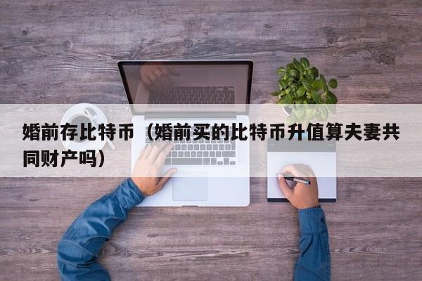 婚前存比特币(婚前买的比特币升值算夫妻共同财产吗)