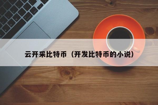 云开采比特币(开发比特币的小说)